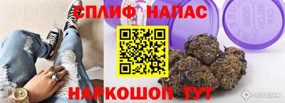 ГАЛЛЮЦИНОГЕННЫЕ ГРИБЫ Янаул