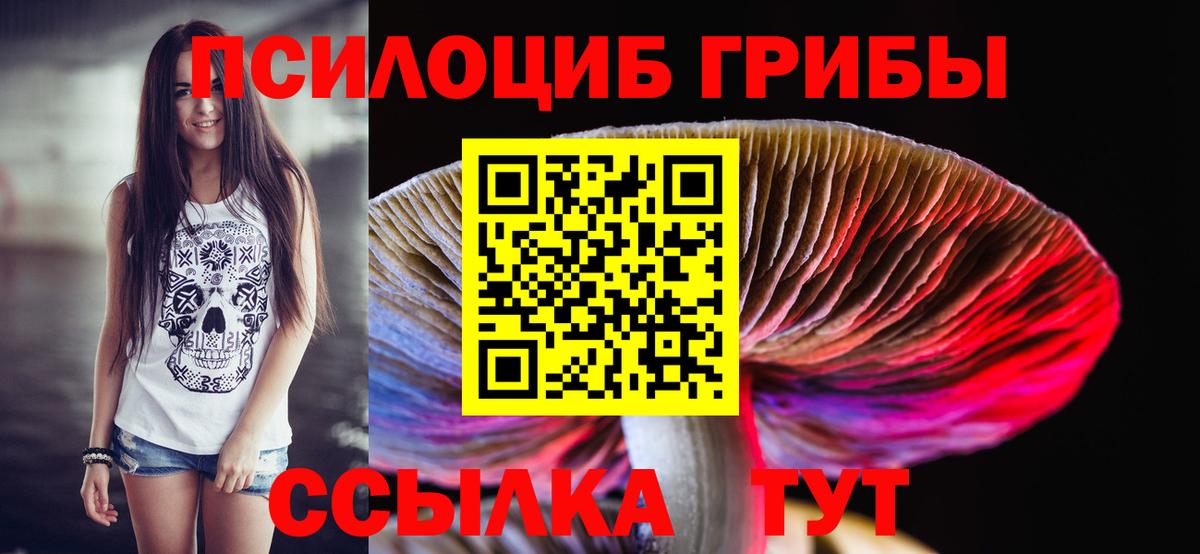 Псилоцибиновые грибы GOLDEN TEACHER Лесной